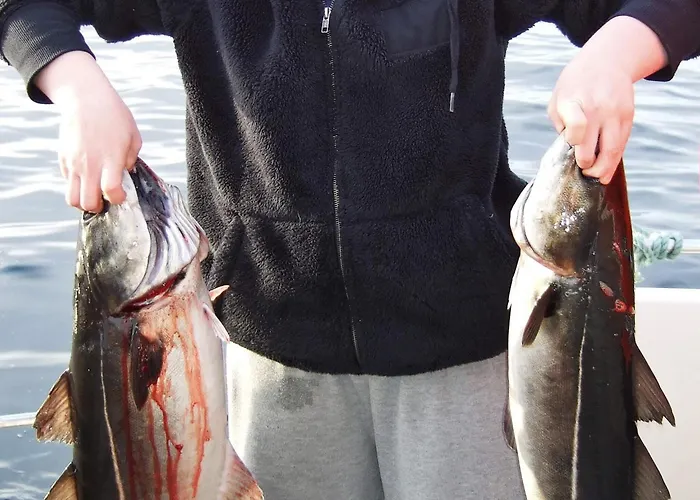 Hébergement de vacances 4 Person In Rebbenes