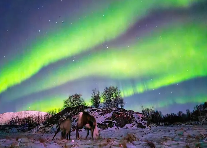 4 Person In Hébergement de vacances *