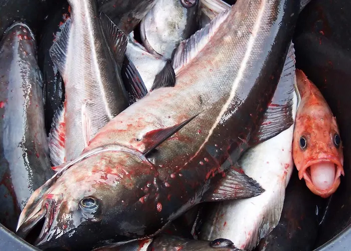 4 Person In Hébergement de vacances *